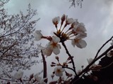 100328_1207~01.jpg